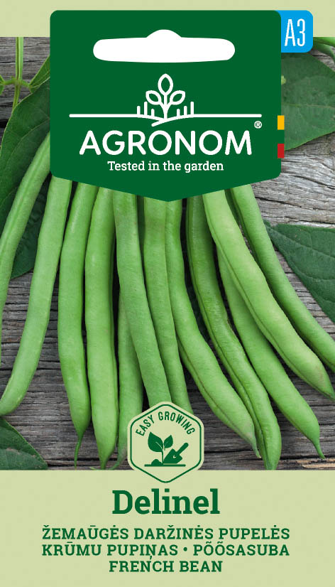Bush bean 'Delinel' / Haricot Verts