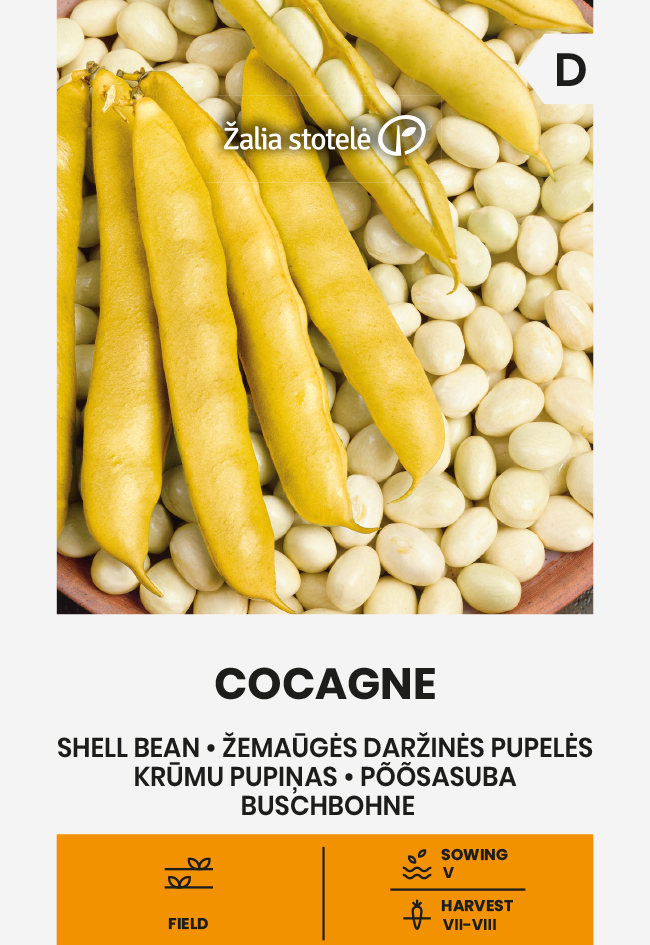 Dwarf shelling bean 'Cogagne' – Grow Towers