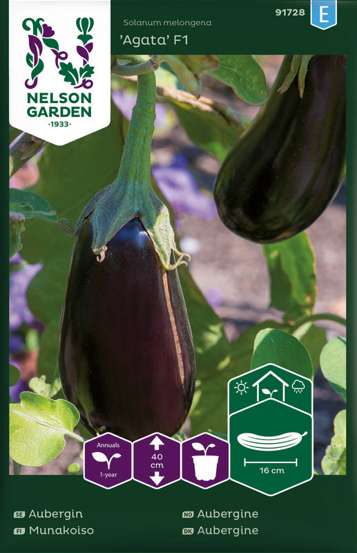 Eggplant 'Agata' F1