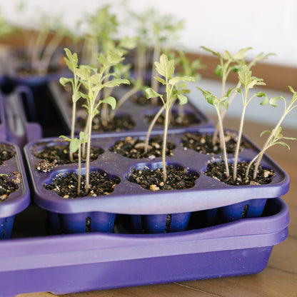 GreenStalk Seed Starter kit with Domes