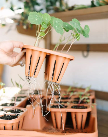 GreenStalk Seed Starter kit with Domes