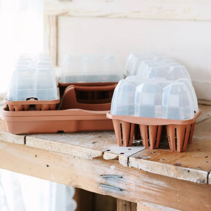 GreenStalk Seed Starter kit with Domes