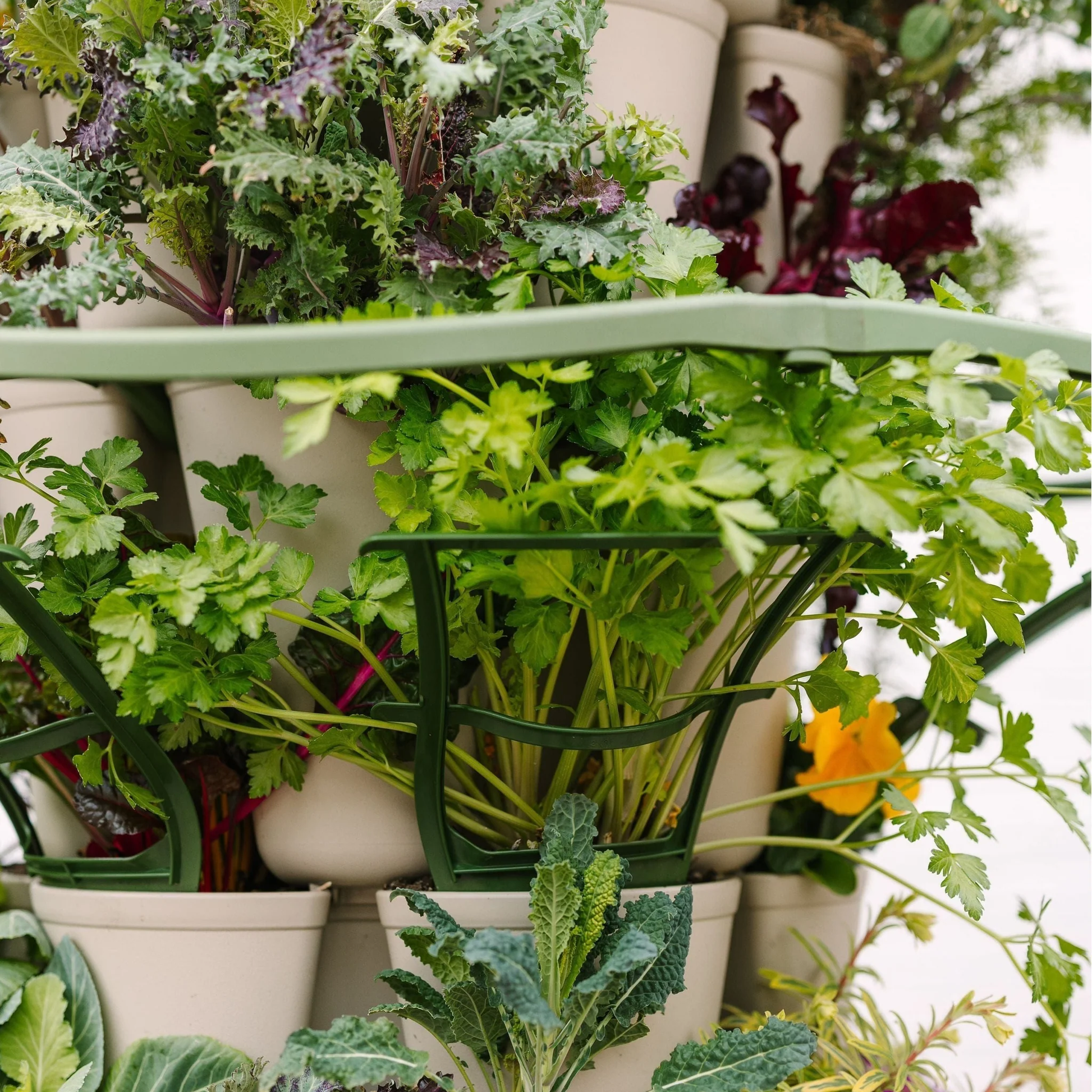 trellis hanging planter GreenStalk Trellis
