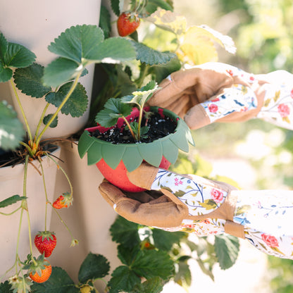 Berry Cups - set of 6