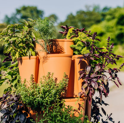 Upper levels of a terracotta colored vertical garden system with herbs growing